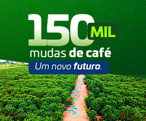 Seagro Dez Fim de ano