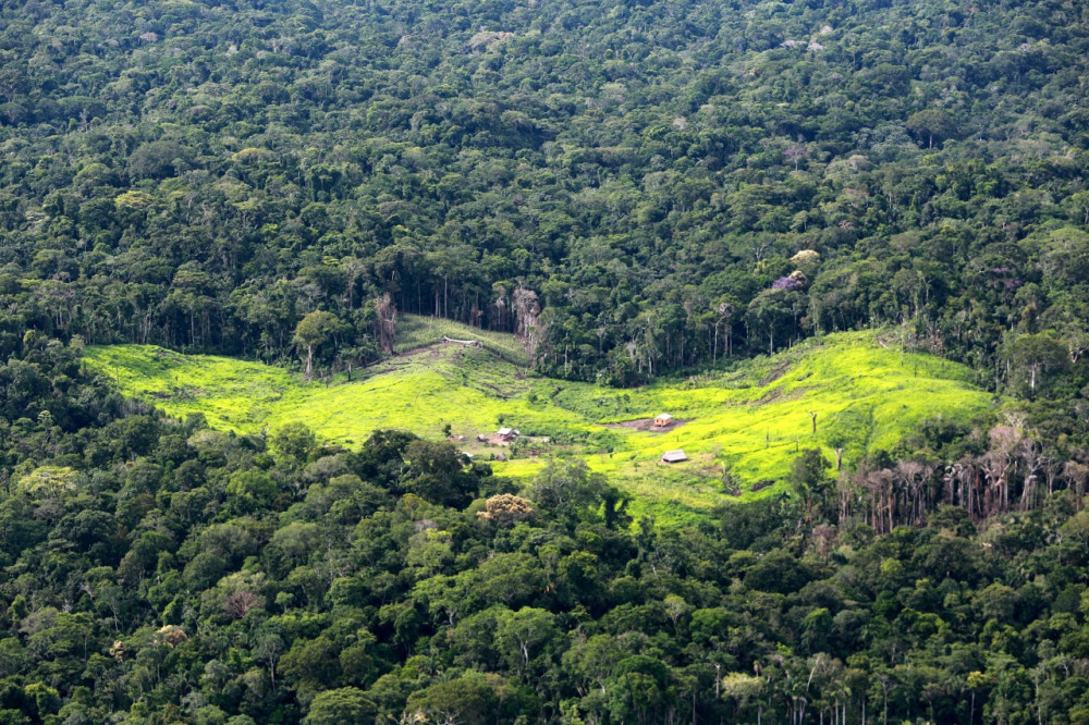Foto: Reprodução