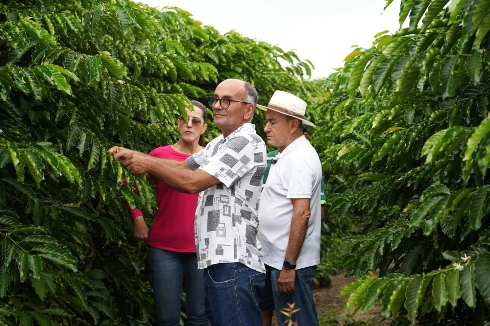 Bocalom visita produtor de café no Juruá e defende agronegócio como eixo do desenvolvimento no Acre